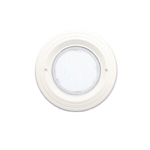 BWT Procopi LED Pool Scheinwerfer farbig RGB - PL-06V-M -...